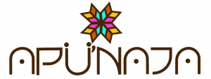 Fundación Apü’naja